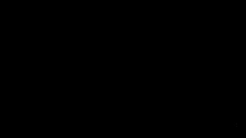 44306