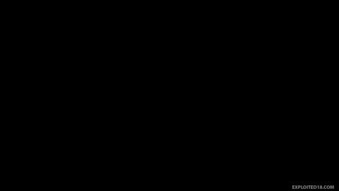 24036